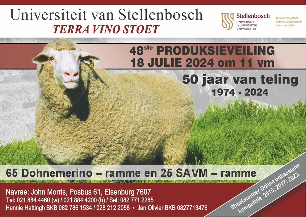 univ-stellenbosch-terra-vino-stoet-aaaaaa-12x5-db300524-2224-rcols-jbrik.jpg.webp
