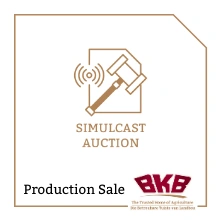 van-wyk-simulcast-production-sale-1.png.webp