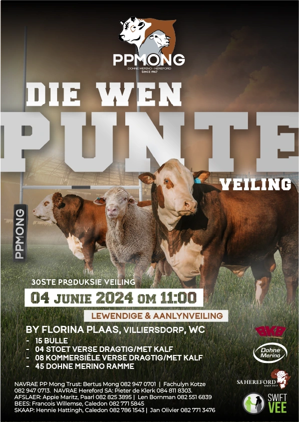 wen-punte-dm-hereford-1-1.png.webp