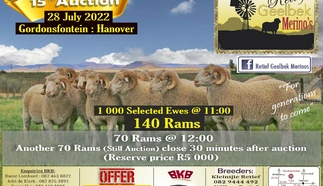 2022-07-retief-geelbek-merinos-poster.jpg.webp