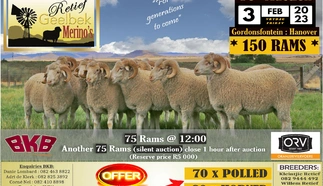 2023-02-retief-geelbek-merinos-poster-final.jpg.webp