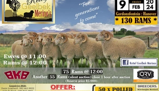 2024-02-retief-geelbek-merinos-met-bkb-final.jpg.webp