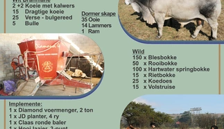 a3-vir-druk-2.jpg.webp