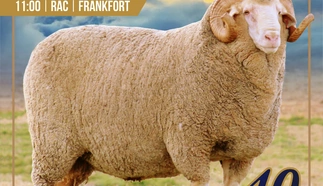andrew-jordaan-a4-enkel-pamflet-22-julie-2022-custom.jpg.webp