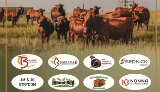 aveling-bonsmaras-en-vriende-18-augustus-2023-finaal-pg-4-custom.jpg.webp