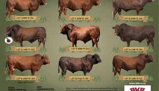 aveling-bonsmaras-en-vriende-19-augustus-2022-a4-beide-pamflet.jpg_agterkant-custom.jpg.webp