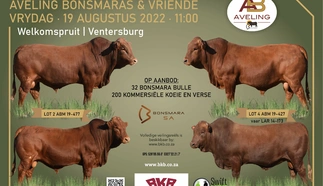 aveling-bonsmaras-en-vriende-19-augustus-2022-a4-beide-pamflet.jpg_voorblad-custom.jpg.webp
