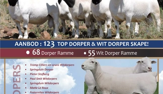 bkb-a3-poster-weskaaplandse-2023.jpg.webp