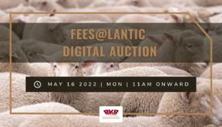 bkb-fees-lantic-digital-auction.png.webp