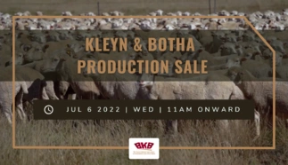 bkb-hugo-botha-production-sale.png.webp