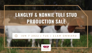 bkb-langlyf-nonnie-tuli-stud-production-sale.png.webp
