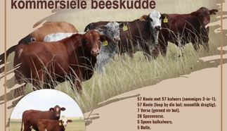 bloemhof-boerdery-a4-digitaal-18-april-2024_voorkant.jpg.webp