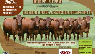 bovelder-studiegroep-donderdag-25-maart-2021-a4-enkel-pamflet-custom.jpg.webp