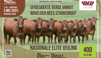 bovelder-vers-veiling-3-mei-2023-a4-enkel-pamflet-custom.jpg.webp