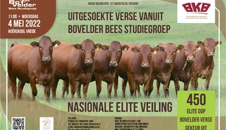 bovelder-vers-veiling-4-mei-2022-a4-enkel-pamflet.jpg.webp