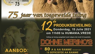 charfontein-dohne-merinos-15-julie-2021-a4-pamflet-custom-1.jpg.webp