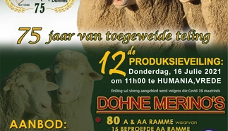 charfontein-dohne-merinos-a4-pamflet-custom.jpg.webp