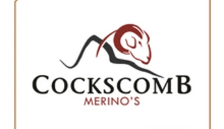 cockscomb-merinos.png.webp