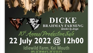 dicke-brahman-poster-2022.jpg.webp