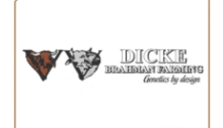 dicke-brahman.png.webp