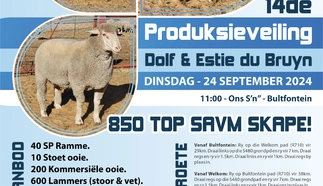 dolf-estie-du-bruyn-24-september-2024-a4-enkel-pamflet.jpg.webp