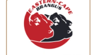 east-cape-brangus.png.webp
