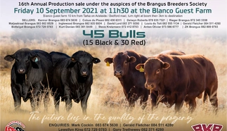 ec-brangus-sale-2021-poster-to-print.jpg.webp