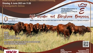 ehlerskroon-bonsmaras-6-junie-2023-a4-enkel-pamflet-custom.jpg.webp