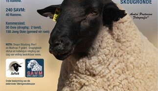 event-24480-25594-malherbe-waterpas-savm-stoet-8-september-2026-a4-pamflet_suffolk.jpg
