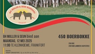 event-24666-21326-gh-muller-19-mei-2025-pamflet_bokke.jpg