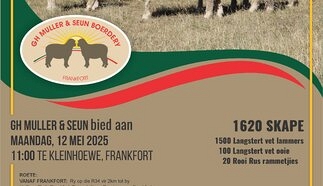 event-24666-21327-gh-muller-19-mei-2025-pamflet_skape.jpg