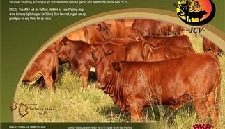 event-27267-25364-geldenhuys-bonsmaras-a5-beide-pamflet-28-julie-2026_agterkant.jpg