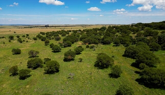 event-27713-21051-dji_0001.00_51_57_00.still071.jpg