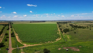 event-27713-21075-dji_0001.01_05_34_12.still095.jpg