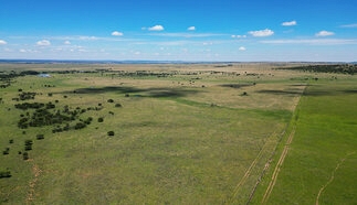 event-27713-21076-dji_0001.01_05_50_20.still096.jpg