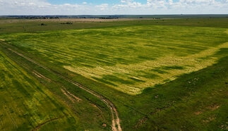 event-27713-21094-dji_0001.01_14_02_28.still114.jpg