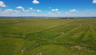 event-27713-21101-dji_0001.01_23_01_00.still121.jpg