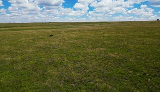 event-27713-21127-dji_0001.01_32_04_23.still147.jpg