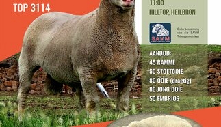 event-27719-21350-hilltop-savm-stoet-benjamin-boerdery-24-junie-2025-correx-poster-600-mm-x-800-mm.jpg