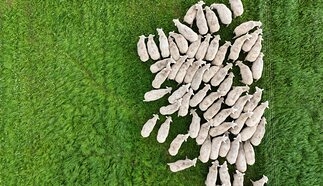 event-27746-25159-dji_fly_20260506_144056_0042_1778073597103_photo.jpg