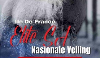 event-27958-26318-nationale-ile-de-france-_-2.jpg