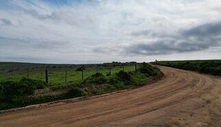 event-28817-25450-dji_0386.jpg