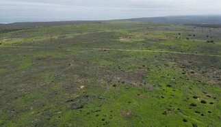 event-28817-25453-dji_0392.jpg