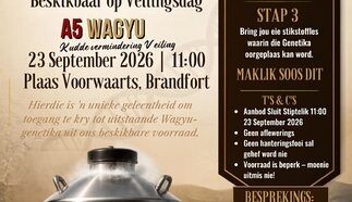 event-28860-26399-whatsapp-image-2026-09-16-at-16.42.25.jpeg