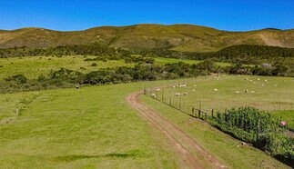 event-28870-25687-dji_mimo_20260514_120132_813_1778787752146_photo.jpg