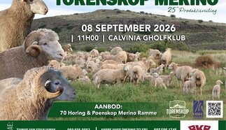 event-28882-25811-torenskop.jpg