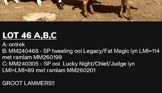 event-28932-26431-46a-b-c.jpg