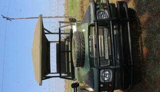 event-28956-26495-img_8673.jpg