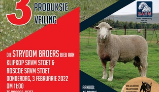 fanie-strydom-roscoe-klipkop-savm-stoet-3-feb-2022-a4-enkel-pamflet-template-custom-1.jpg.webp