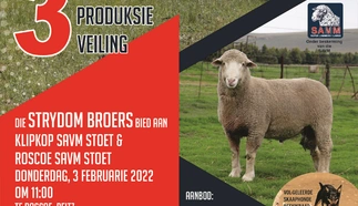 fanie-strydom-roscoe-klipkop-savm-stoet-3-feb-2022-a4-enkel-pamflet-template-custom.jpg.webp